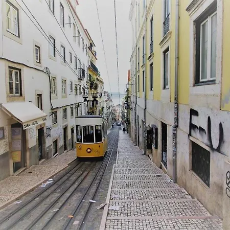 Flh Santa Catarina Lovely Flat *